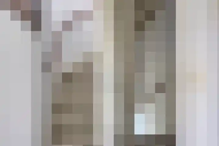 Paul Rodenkolaan 103 Zutphen thumbnail 27