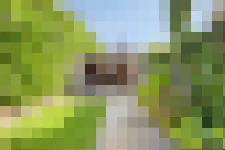 Paul Rodenkolaan 103 Zutphen thumbnail 38
