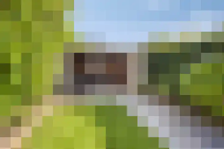 Paul Rodenkolaan 103 Zutphen thumbnail 39