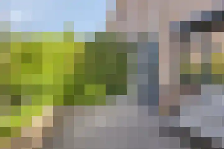 Paul Rodenkolaan 103 Zutphen thumbnail 44