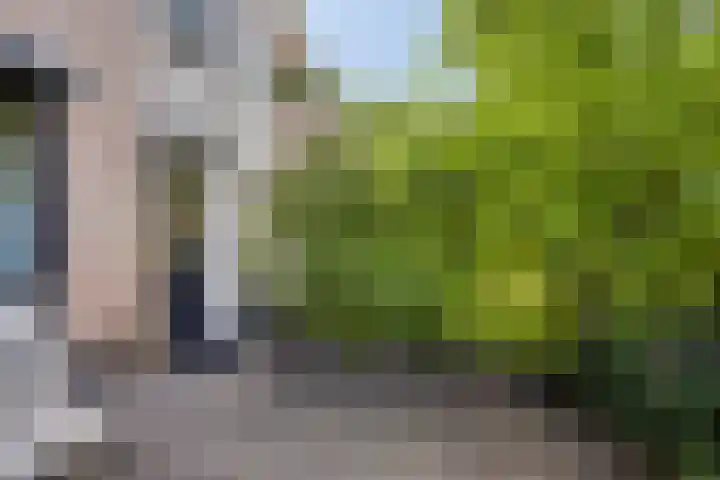 Paul Rodenkolaan 103 Zutphen thumbnail 45