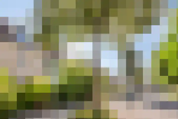 Paul Rodenkolaan 103 Zutphen thumbnail 46