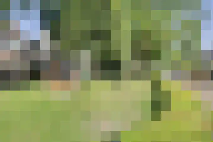 Paul Rodenkolaan 103 Zutphen thumbnail 48