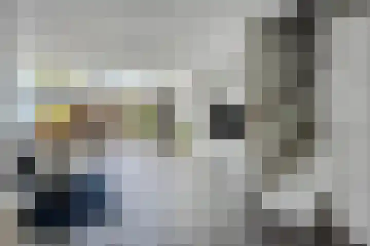 Paul Rodenkolaan 103 Zutphen thumbnail 8