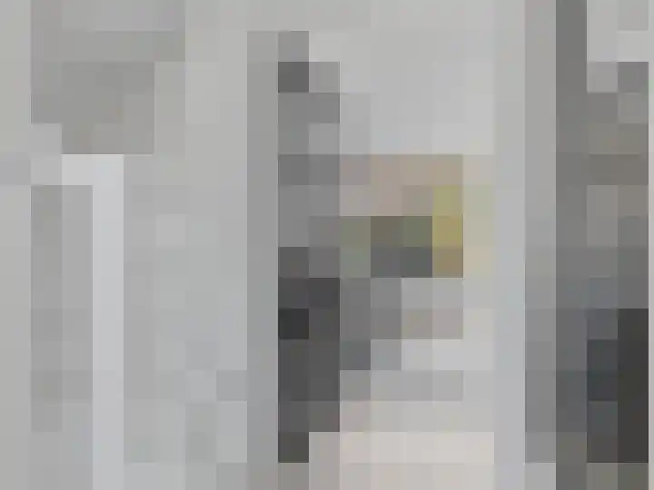 Paul Rodenkolaan 14 Zutphen thumbnail 13