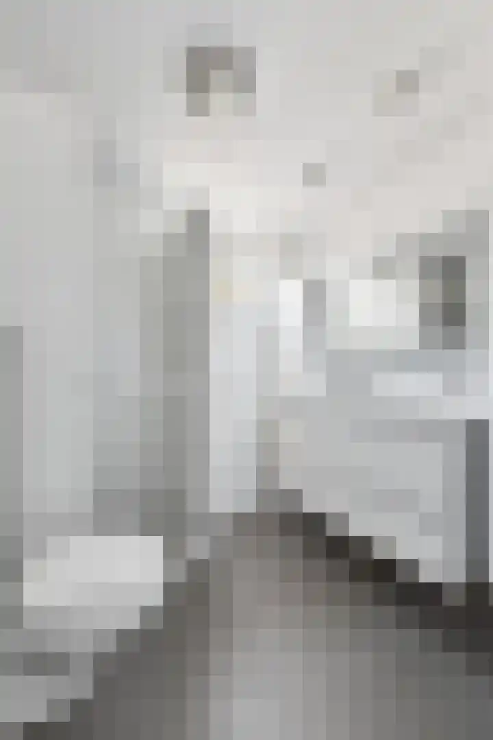 Paul Rodenkolaan 14 Zutphen thumbnail 17