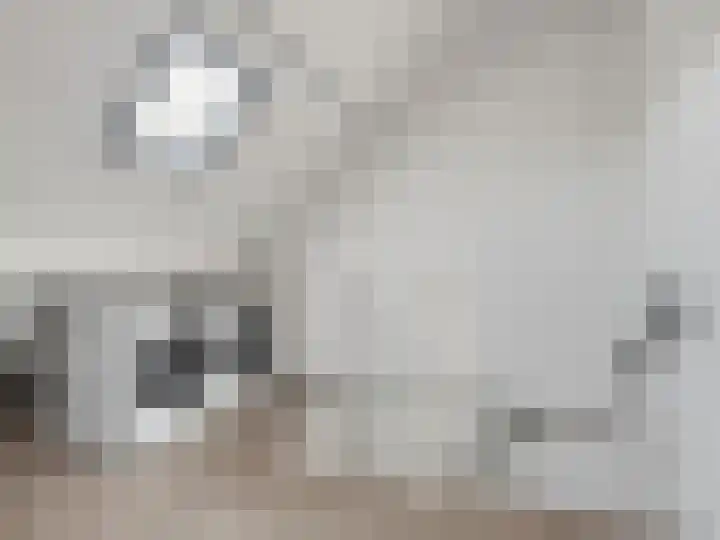 Paul Rodenkolaan 14 Zutphen thumbnail 21