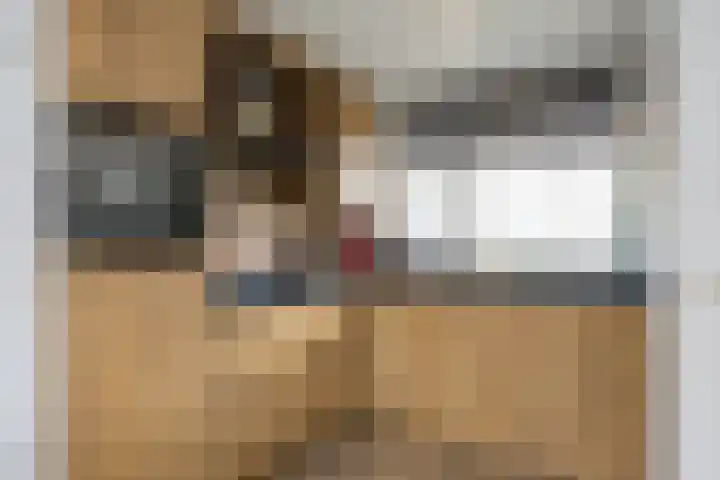 Paul Rodenkolaan 15 Zutphen thumbnail 10