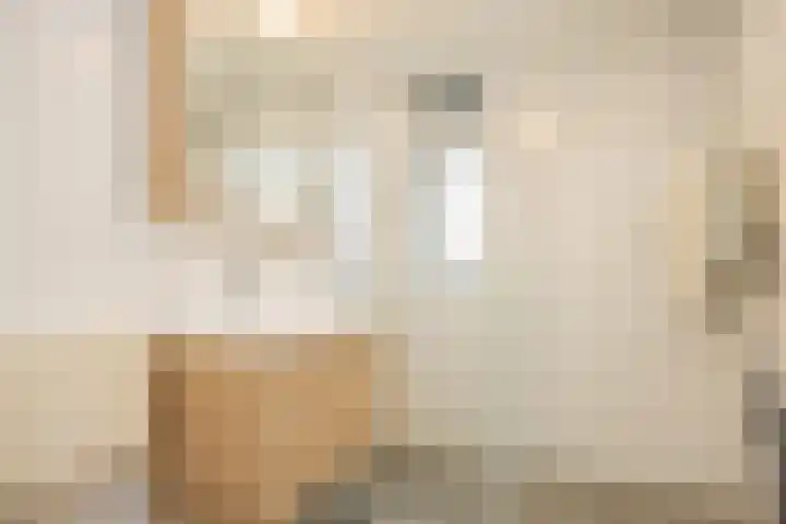 Paul Rodenkolaan 15 Zutphen thumbnail 14