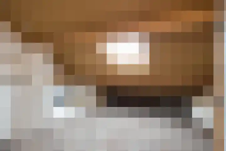 Paul Rodenkolaan 15 Zutphen thumbnail 17