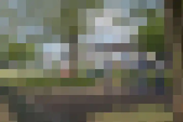 Paul Rodenkolaan 15 Zutphen thumbnail 23