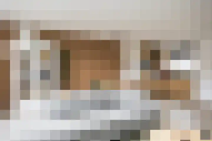 Paul Rodenkolaan 15 Zutphen thumbnail 7