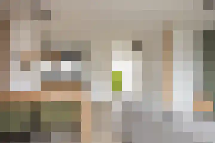 Paul Rodenkolaan 15 Zutphen thumbnail 8