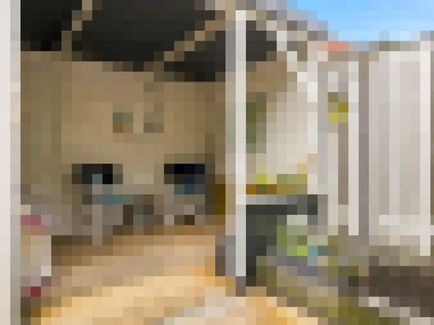 Paul Rodenkolaan 26 Zutphen thumbnail 23