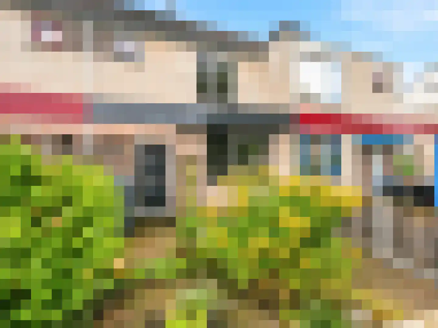 Paul Rodenkolaan 26 Zutphen thumbnail 28