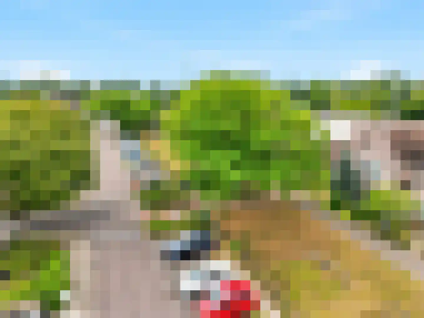 Paul Rodenkolaan 26 Zutphen thumbnail 30