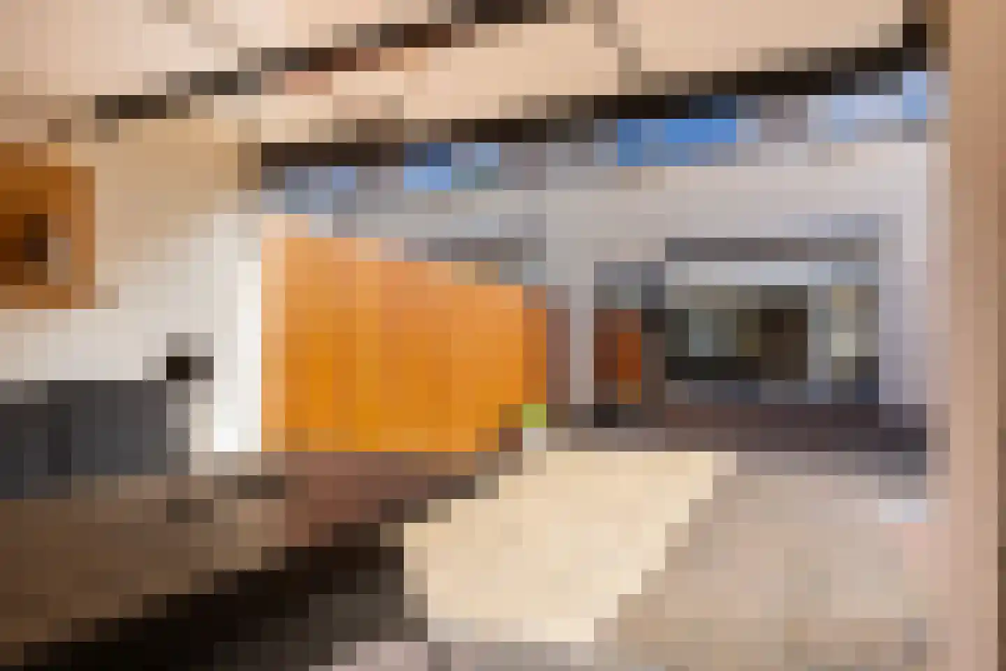 Paul Rodenkolaan 42 Zutphen thumbnail 19