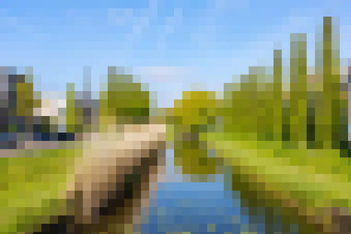 Paul Rodenkolaan 42 Zutphen thumbnail 39