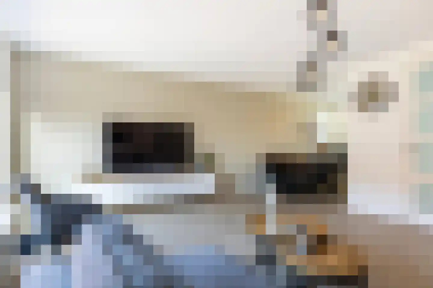 Paul Rodenkolaan 42 Zutphen thumbnail 9