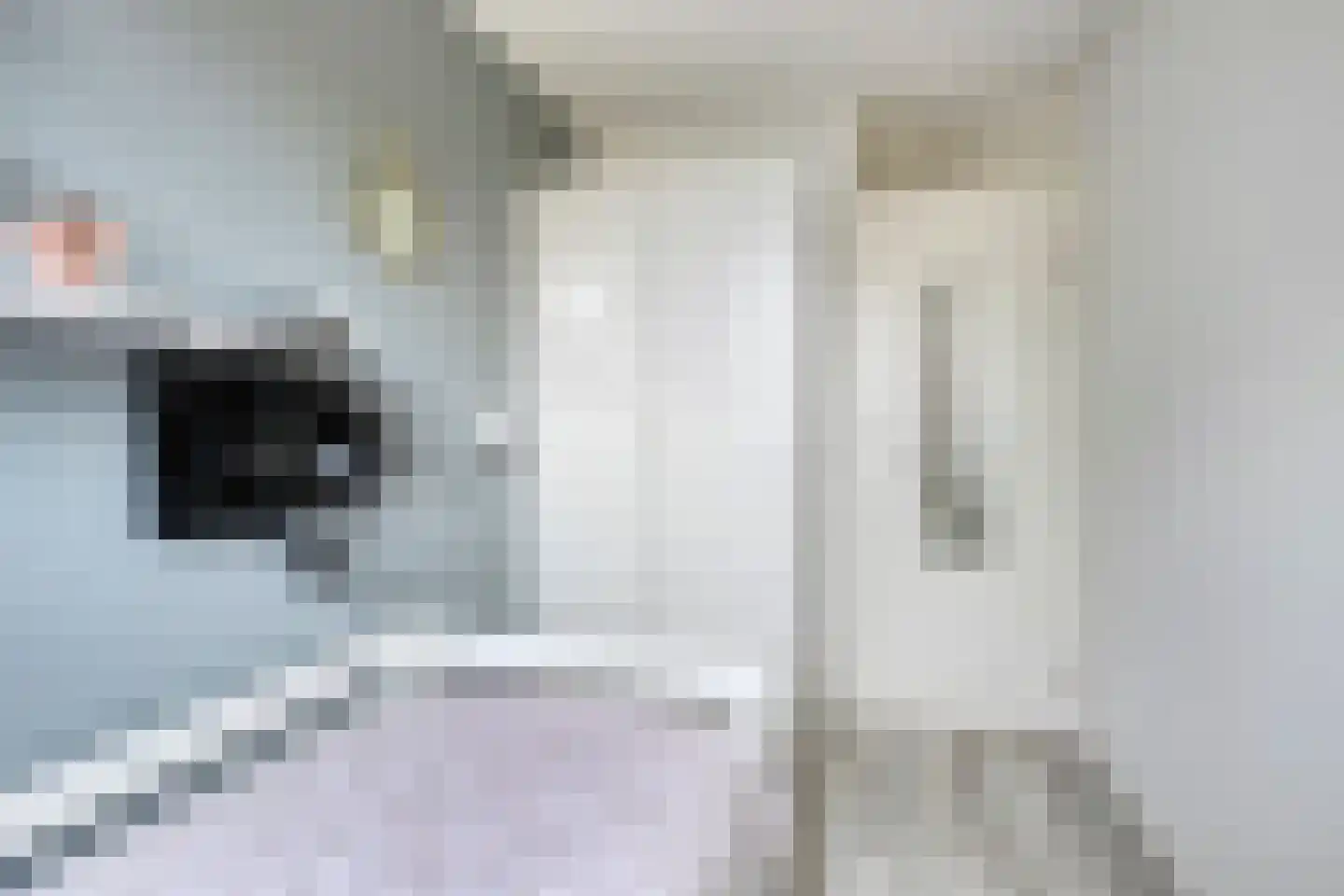 Paul Rodenkolaan 53 Zutphen thumbnail 23