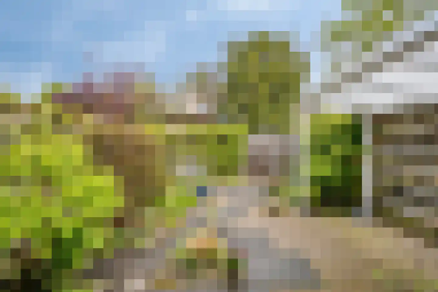Paul Rodenkolaan 53 Zutphen thumbnail 27