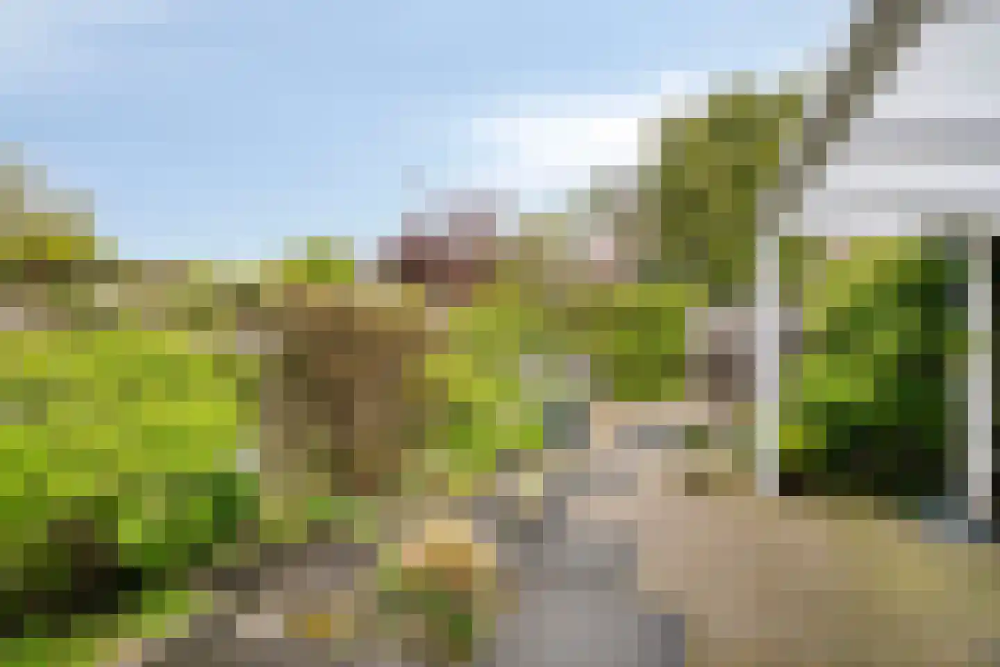 Paul Rodenkolaan 53 Zutphen thumbnail 28