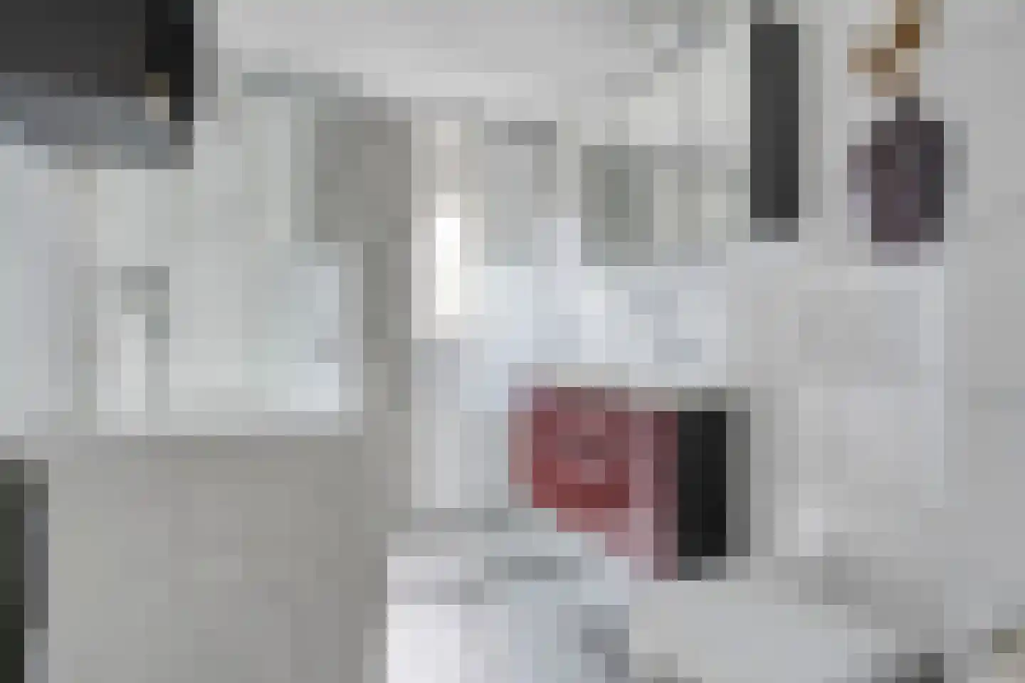 Paul Rodenkolaan 53 Zutphen thumbnail 4