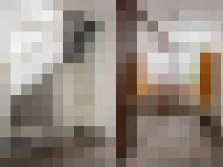 Paul Rodenkolaan 54 Zutphen thumbnail 11