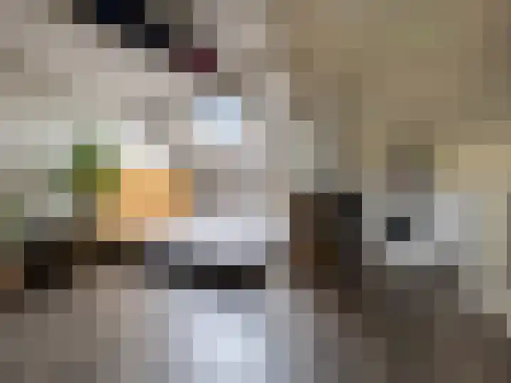 Paul Rodenkolaan 54 Zutphen thumbnail 16