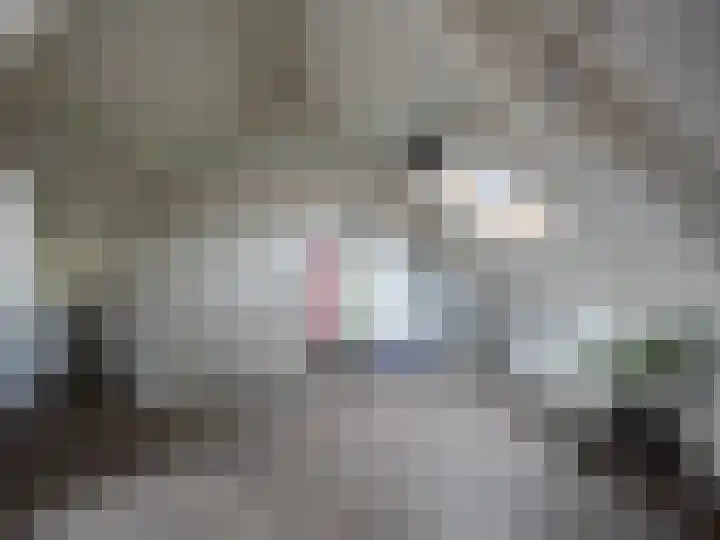 Paul Rodenkolaan 54 Zutphen thumbnail 17