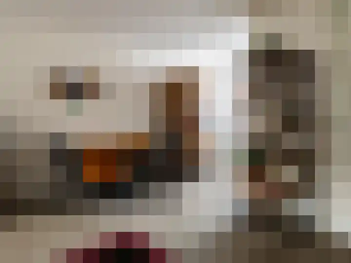 Paul Rodenkolaan 54 Zutphen thumbnail 6