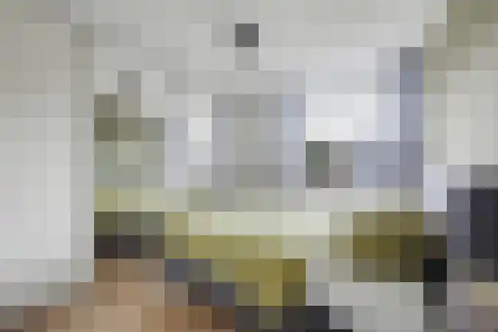 Paul Rodenkolaan 55 Zutphen thumbnail 18
