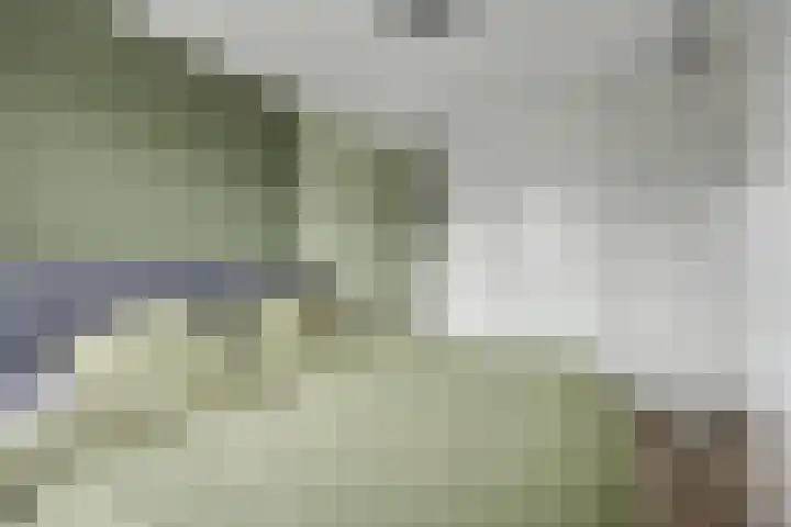 Paul Rodenkolaan 55 Zutphen thumbnail 19