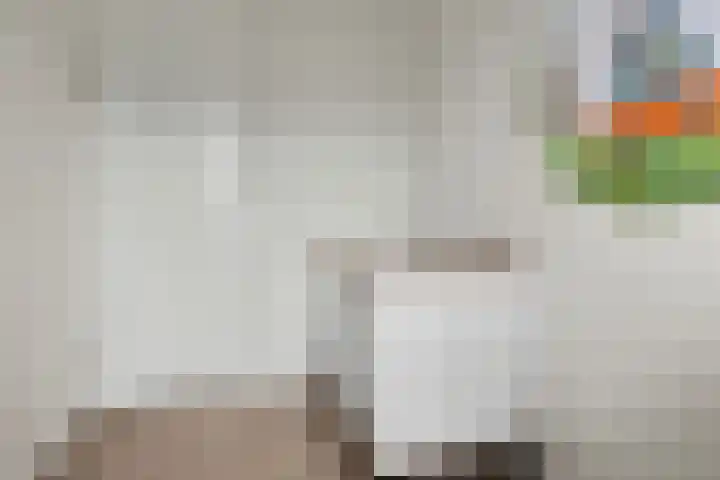 Paul Rodenkolaan 55 Zutphen thumbnail 21