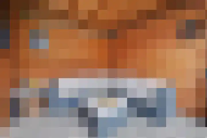 Paul Rodenkolaan 55 Zutphen thumbnail 29