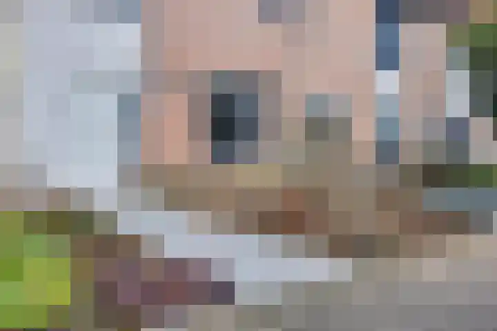 Paul Rodenkolaan 55 Zutphen thumbnail 4