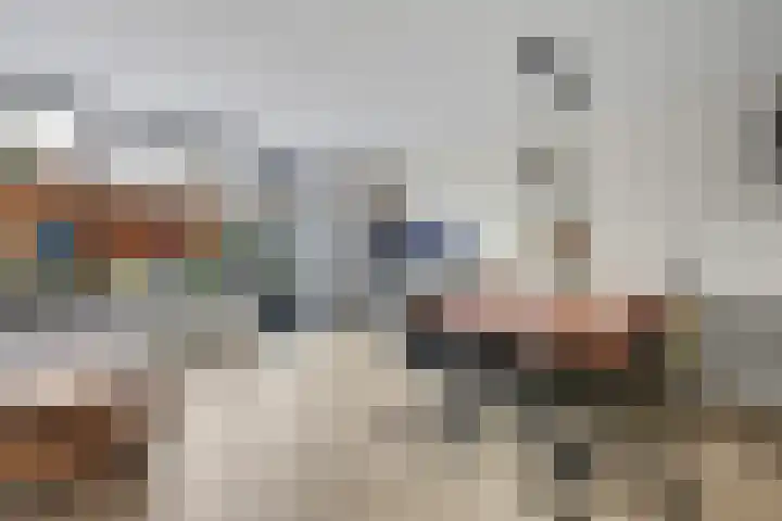 Paul Rodenkolaan 55 Zutphen thumbnail 9