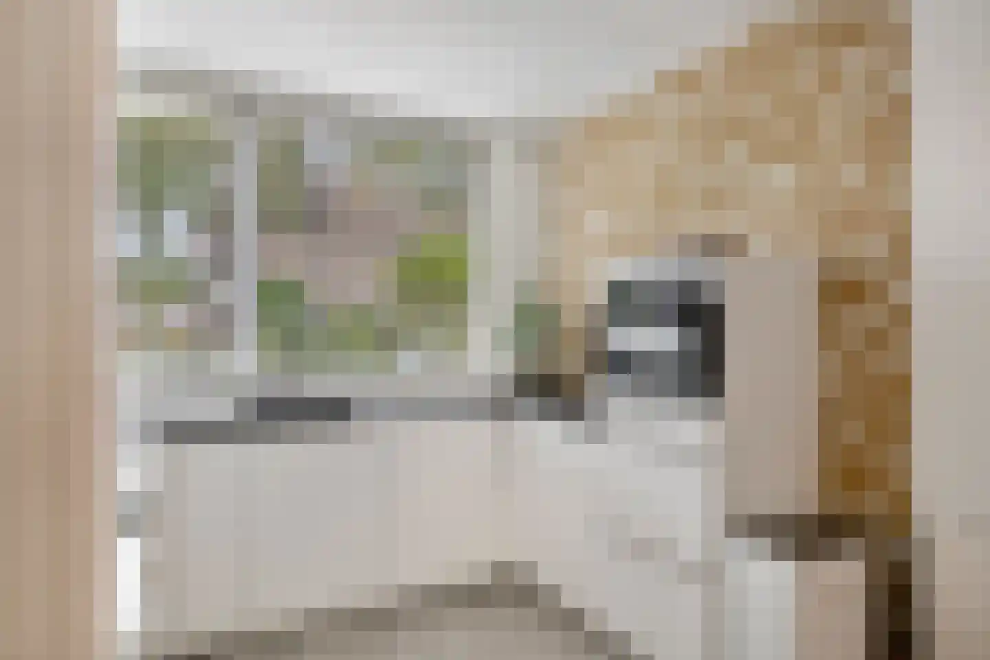 Paul Rodenkolaan 64 Zutphen thumbnail 14