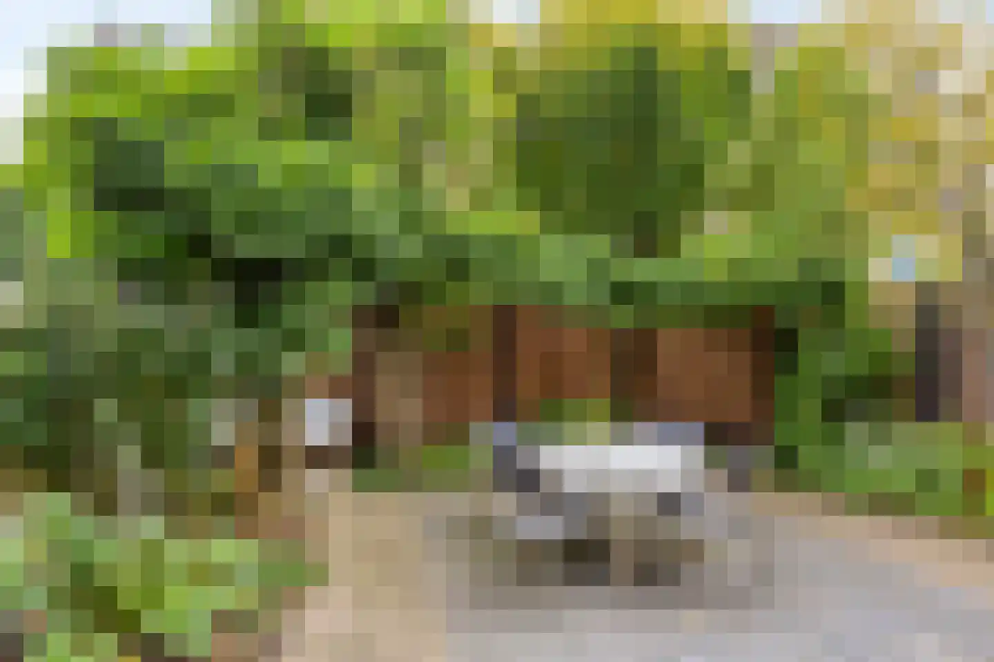 Paul Rodenkolaan 64 Zutphen thumbnail 28