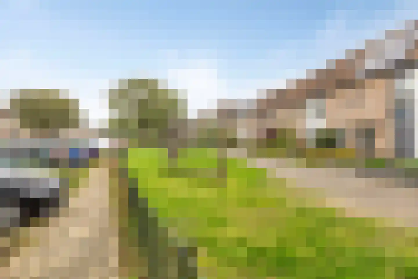 Paul Rodenkolaan 64 Zutphen thumbnail 35