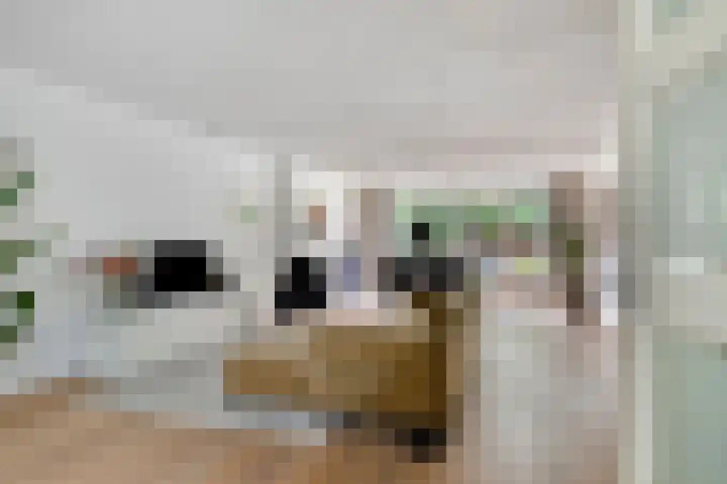 Paul Rodenkolaan 64 Zutphen thumbnail 4