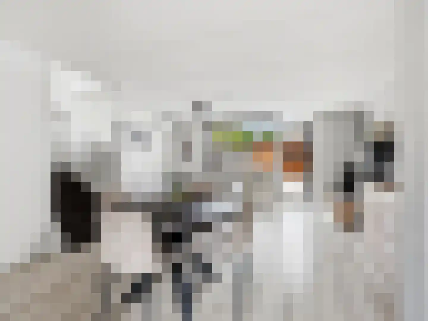 Paul Rodenkolaan 67 Zutphen thumbnail 10