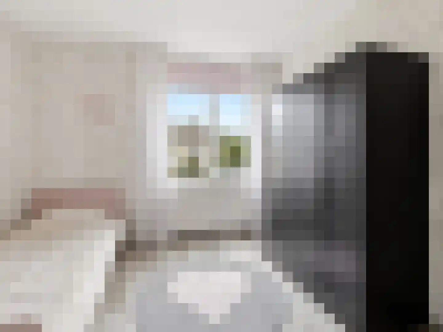 Paul Rodenkolaan 67 Zutphen thumbnail 14