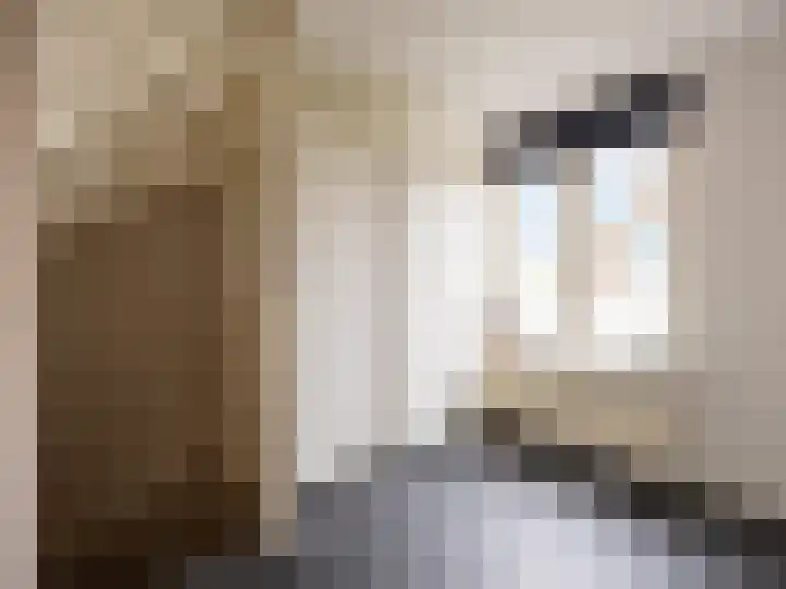 Paul Rodenkolaan 69 Zutphen thumbnail 14