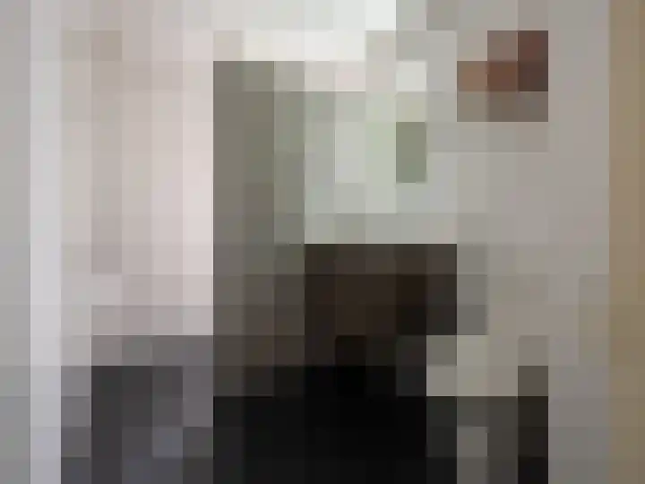 Paul Rodenkolaan 69 Zutphen thumbnail 16