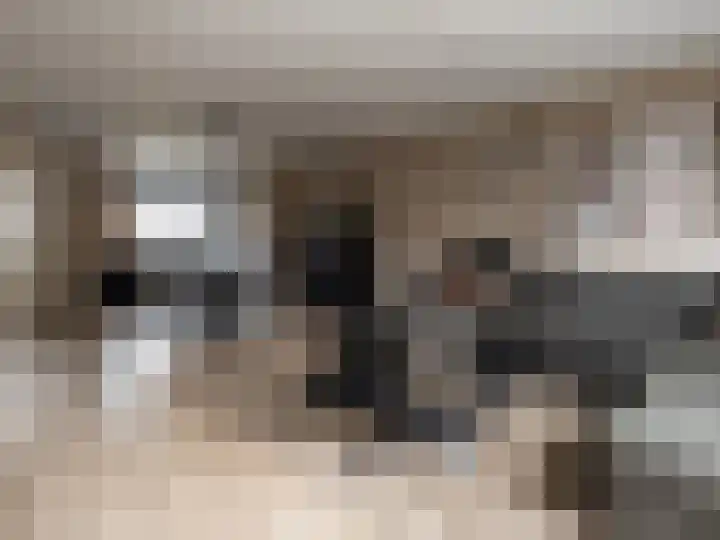Paul Rodenkolaan 69 Zutphen thumbnail 4