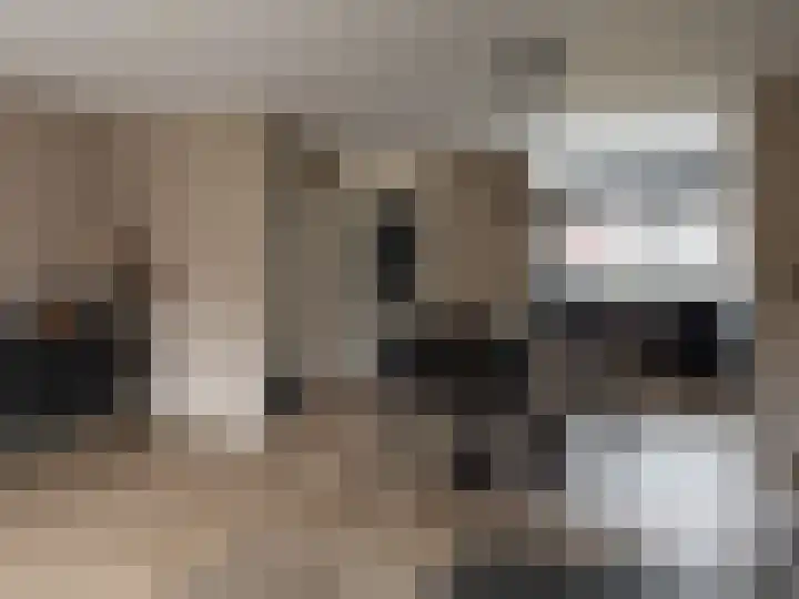 Paul Rodenkolaan 69 Zutphen thumbnail 6