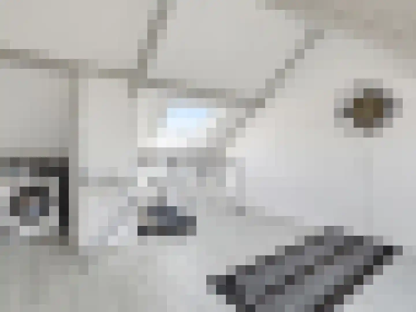 Paul Rodenkolaan 72 Zutphen thumbnail 16
