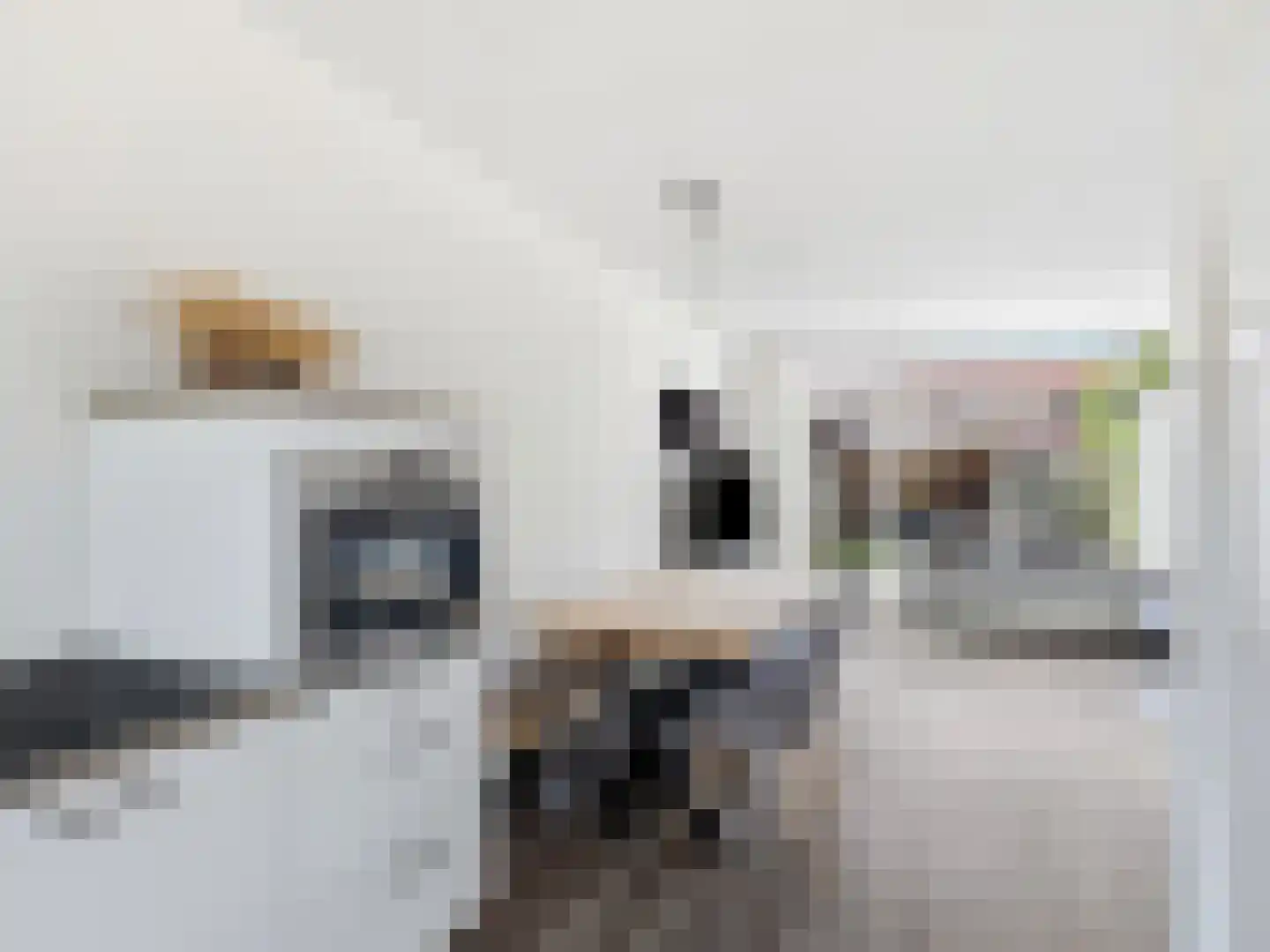 Paul Rodenkolaan 72 Zutphen thumbnail 7