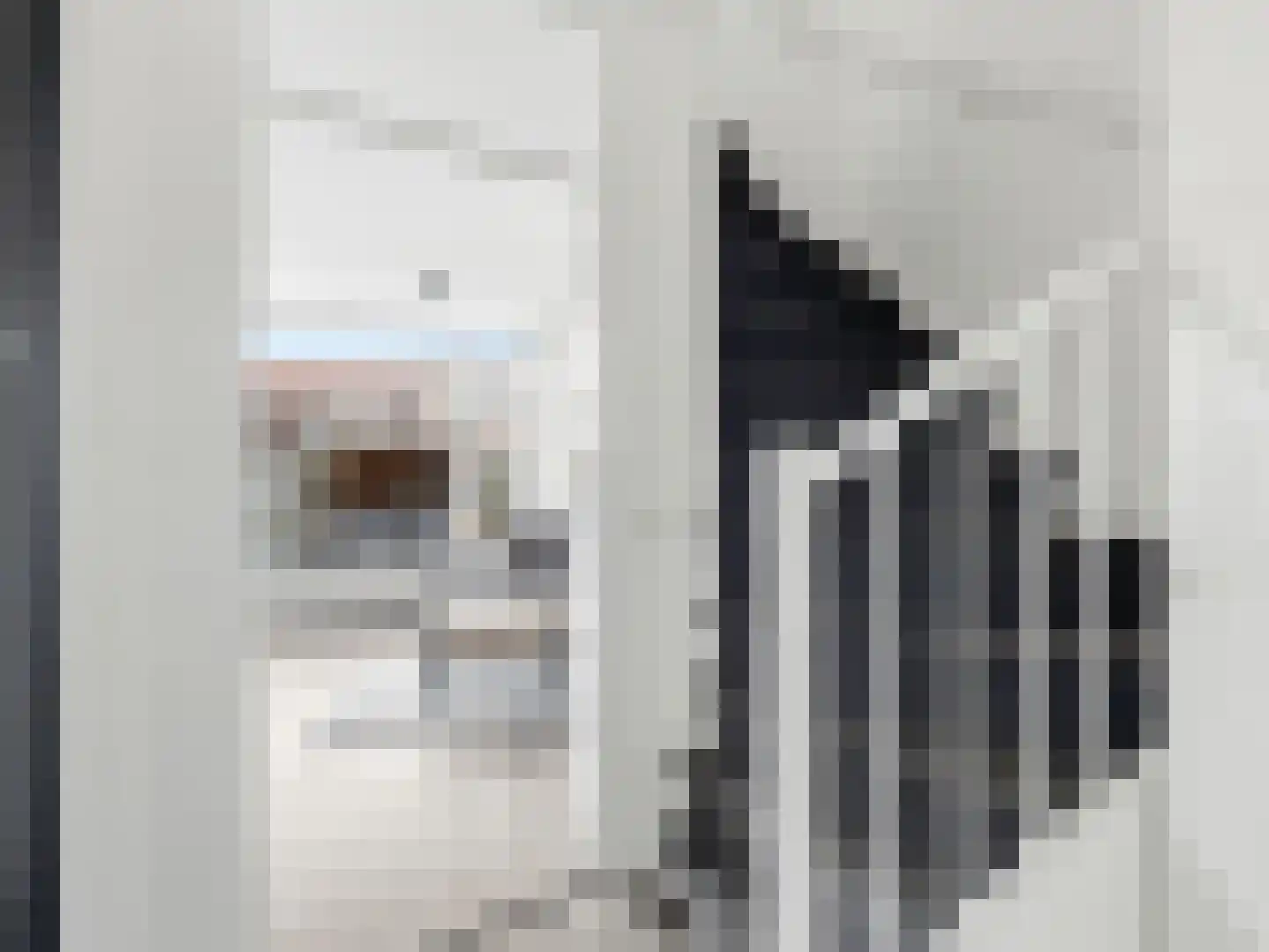 Paul Rodenkolaan 72 Zutphen thumbnail 9